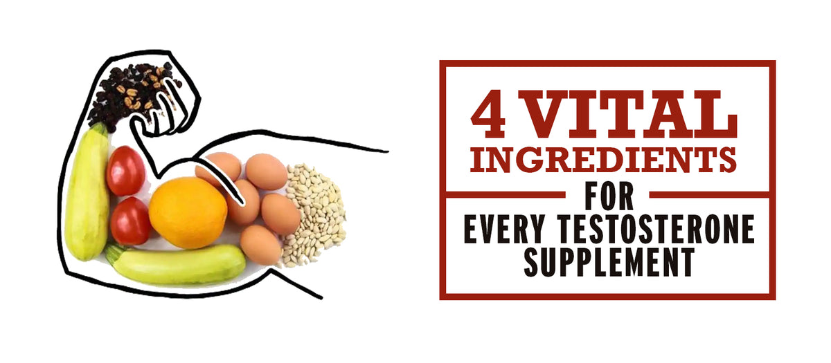 4 Vital Ingredients For Every Testosterone Supplement