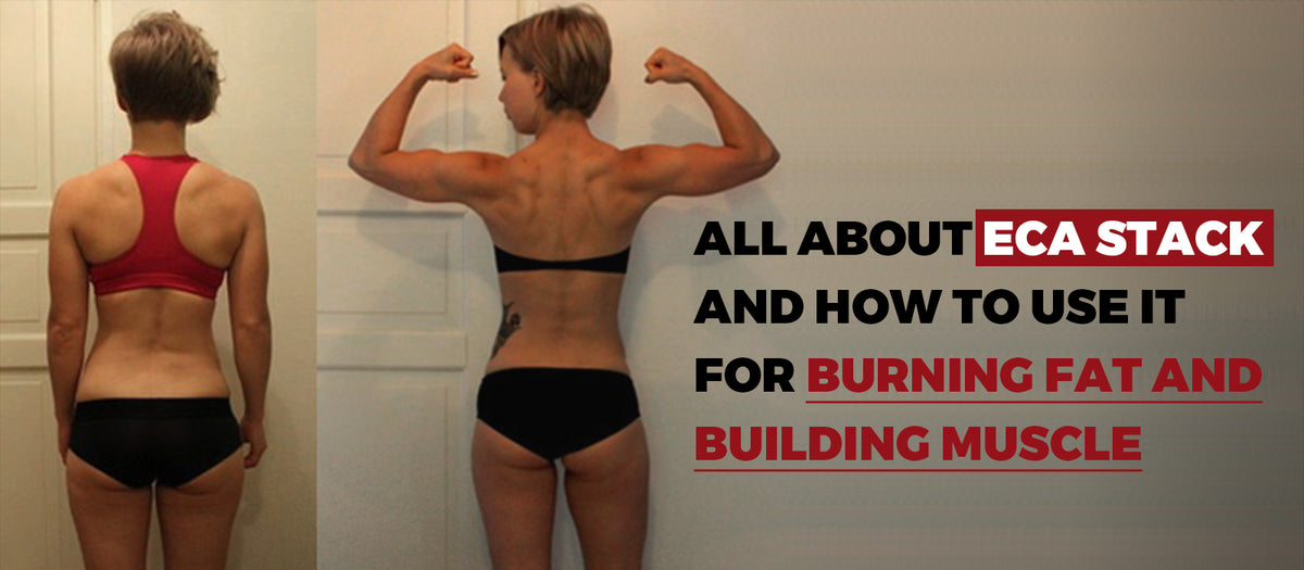 All About ECA Stack and How to Use It For Burning Fat and Building Muscle