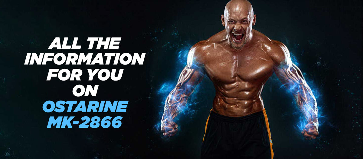 All The Information For You On Ostarine MK-2866
