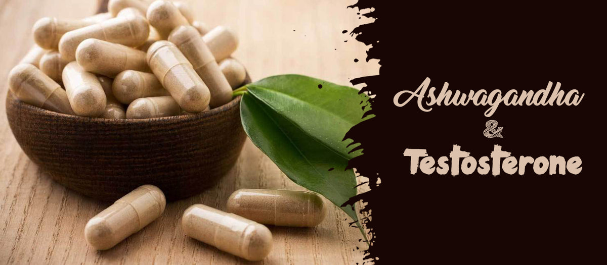 Ashwagandha and Testosterone: Here Is A Scientific Analysis