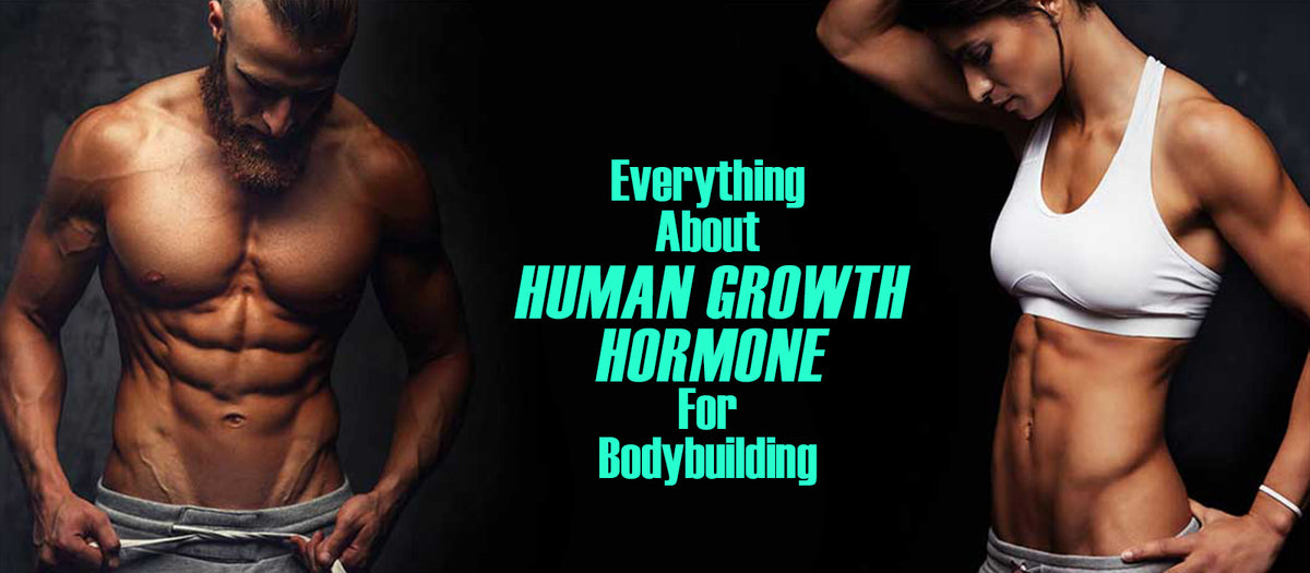 Everything About Human Growth Hormone For Bodybuilding