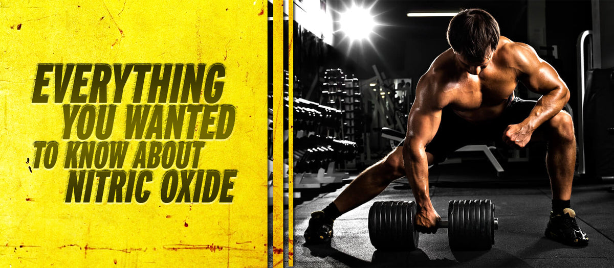 Everything You Wanted To Know About Nitric Oxide