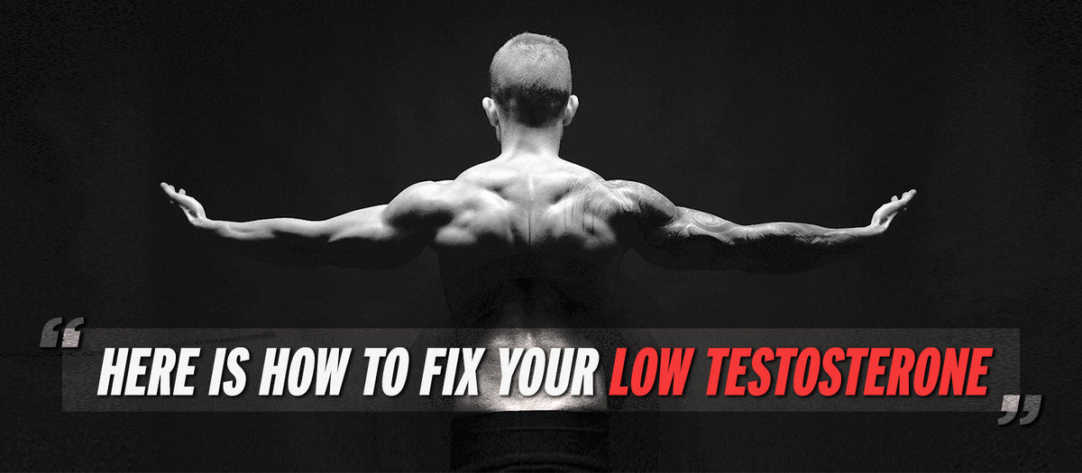Here Is How To Fix Your Low Testosterone