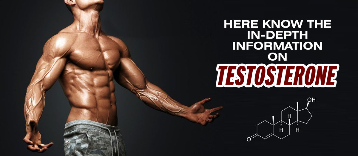 Here Know The In-depth Information On Testosterone