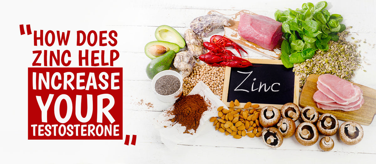 How Does Zinc Help Increase Your Testosterone