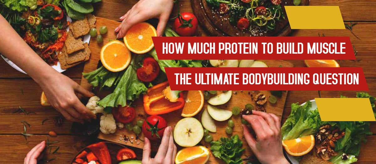 How Much Protein To Build Muscle The Ultimate Bodybuilding Question