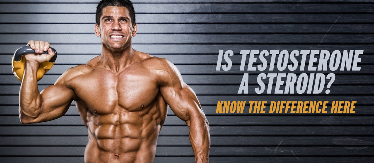 Is Testosterone A Steroid? Know The Difference Here
