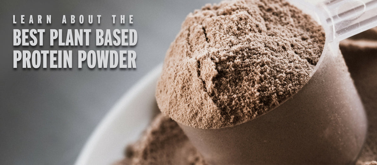 Learn about The Best Plant Based Protein Powder