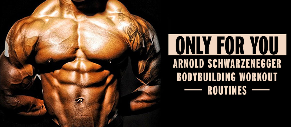 Only For You Arnold Schwarzenegger Bodybuilding Workout Routines
