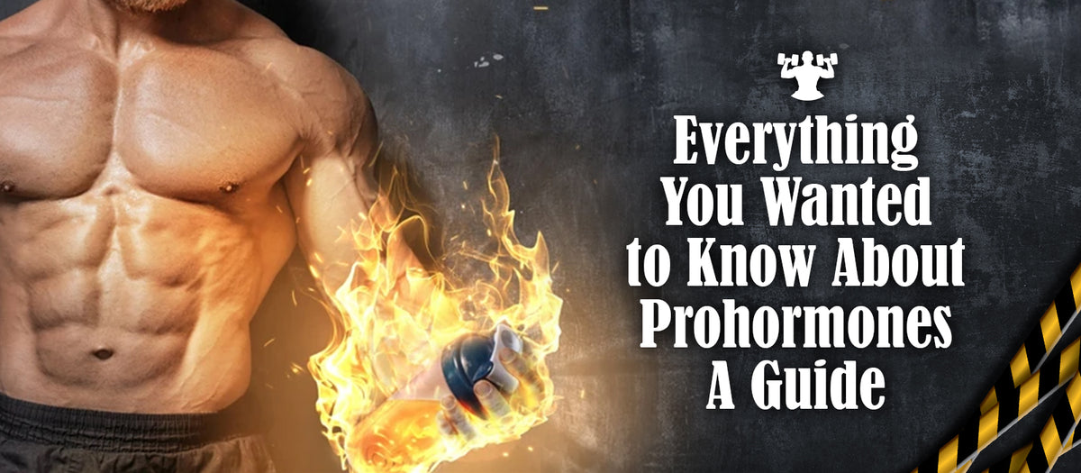 Everything You Wanted to Know About Prohormones A Guide