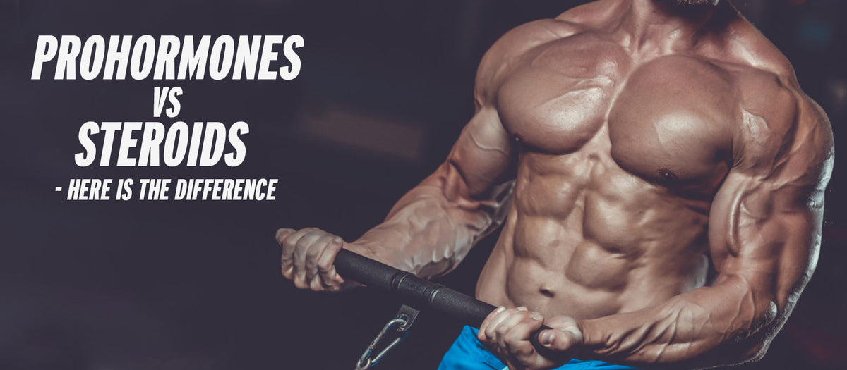 Prohormones Vs Steroids - Here Is The Difference