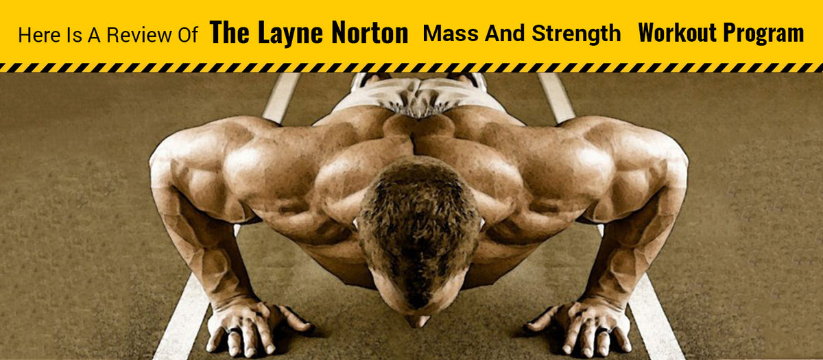 Here Is A Review Of The Layne Norton Mass And Strength Workout Program