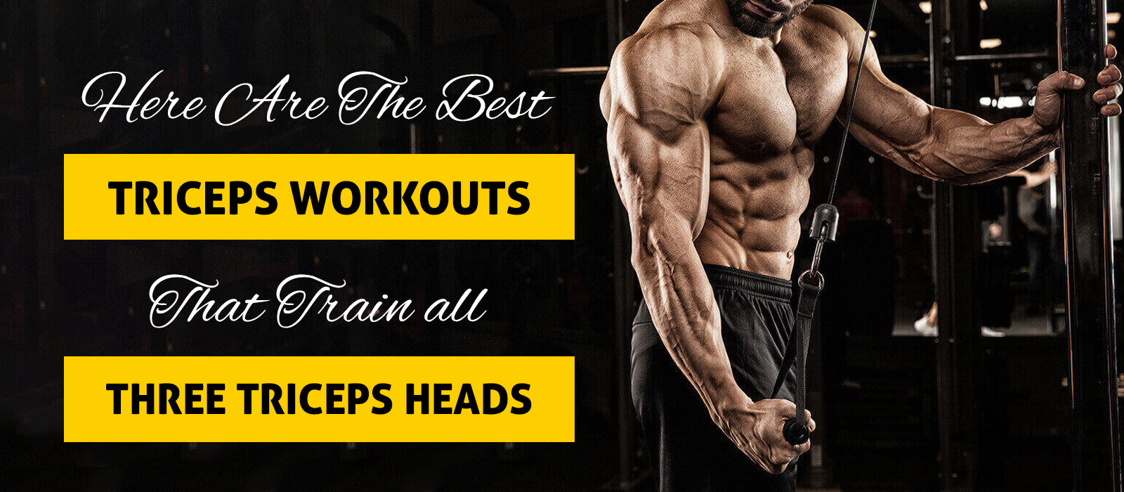 Here Are The Best Triceps Workouts That Train all Three Triceps Heads 