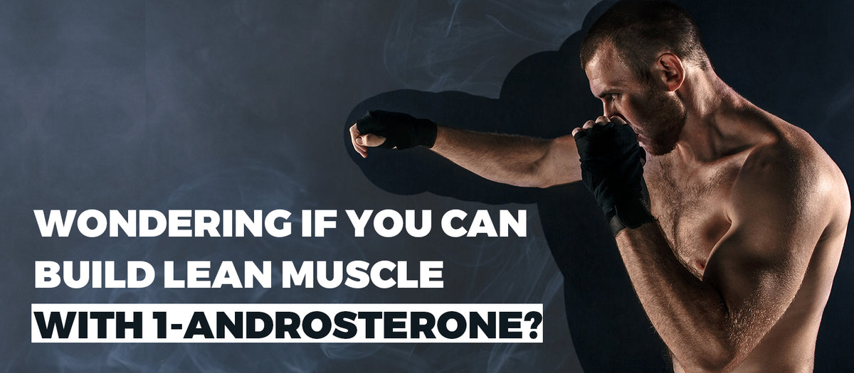 Wondering If You Can Build Lean Muscle with 1-Androsterone?