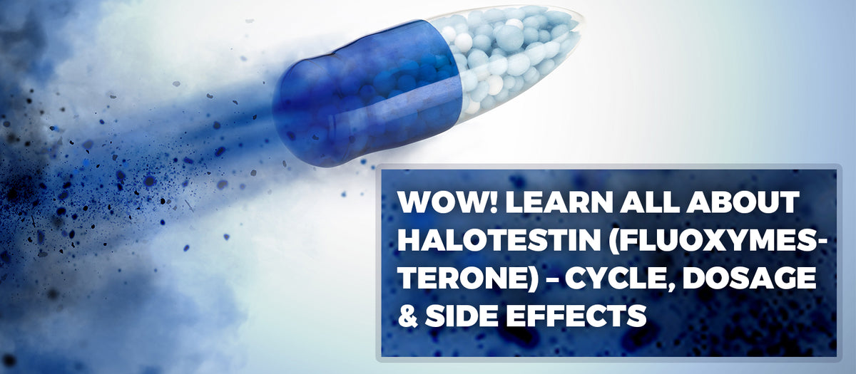 Wow! Learn All About Halotestin (Fluoxymesterone) – Cycle, Dosage & Side Effects